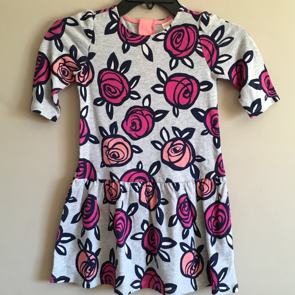 Gymboree Girl Grey Floral Dress size 5T.